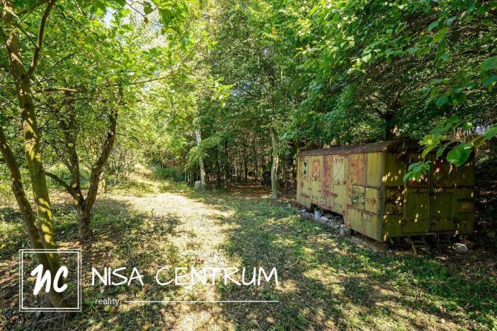 Prodej lesa, Obruby, 3075 m2