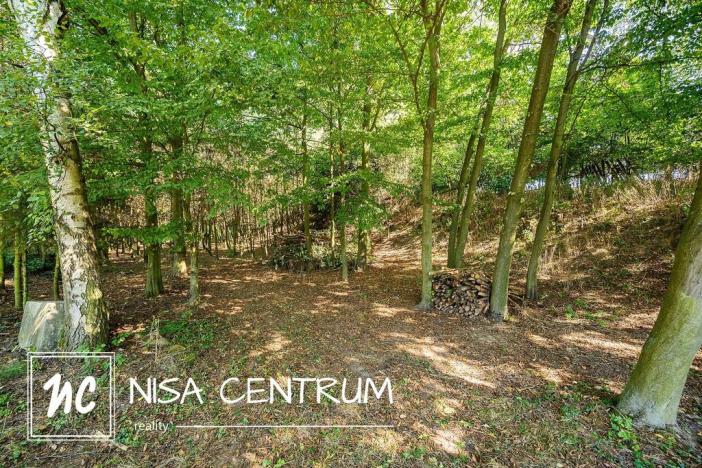 Prodej lesa, Obruby, 3075 m2