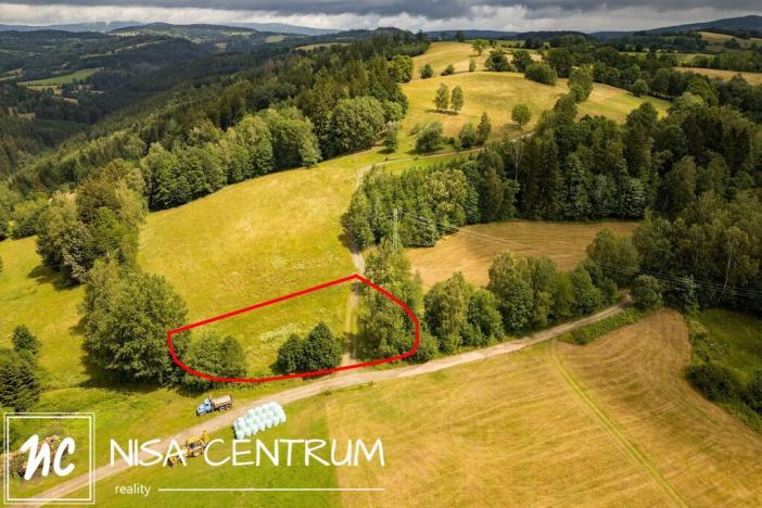 Prodej louky, Víchová nad Jizerou, 1739 m2