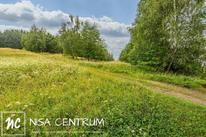 Prodej louky, Víchová nad Jizerou, 1739 m2