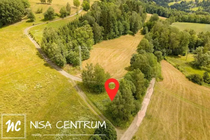 Prodej louky, Víchová nad Jizerou, 1739 m2