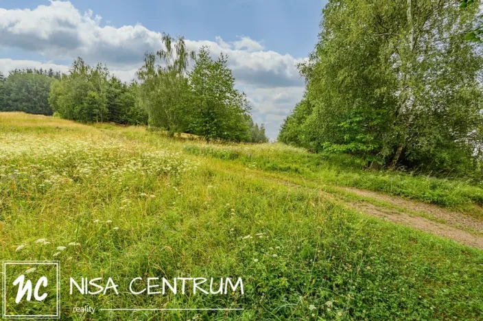 Prodej louky, Víchová nad Jizerou, 1739 m2