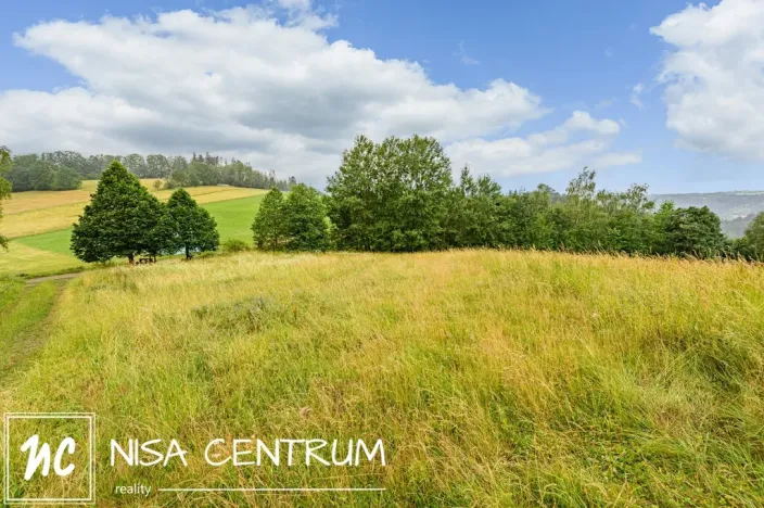 Prodej louky, Víchová nad Jizerou, 1739 m2