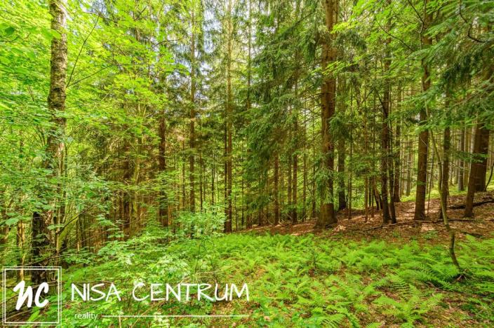 Prodej louky, Víchová nad Jizerou, 1867 m2