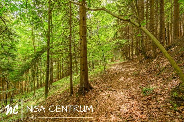 Prodej louky, Víchová nad Jizerou, 1867 m2