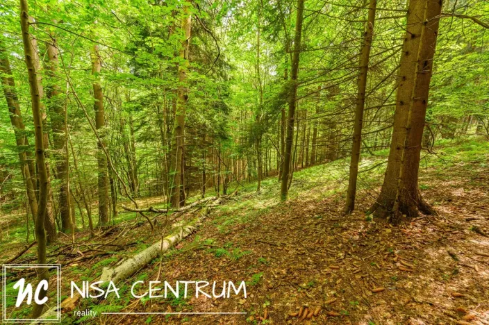 Prodej louky, Víchová nad Jizerou, 1867 m2