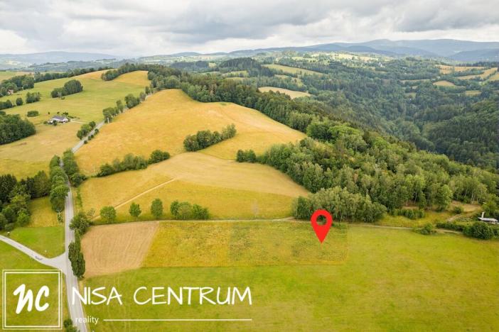 Prodej louky, Víchová nad Jizerou, 991 m2