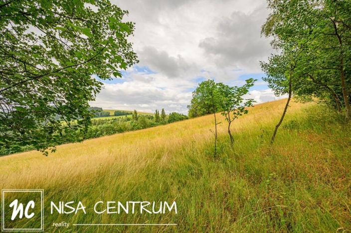 Prodej louky, Víchová nad Jizerou, 991 m2