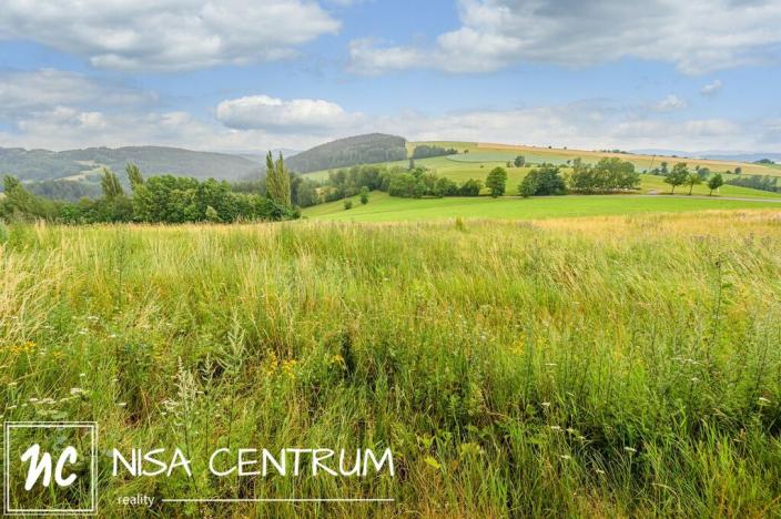 Prodej louky, Víchová nad Jizerou, 991 m2