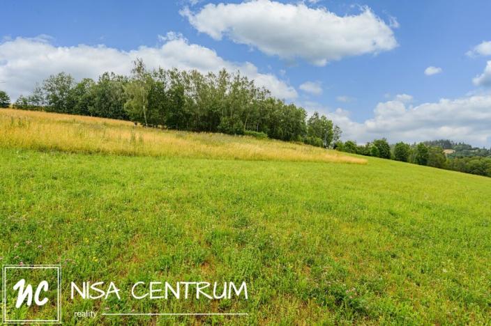 Prodej louky, Víchová nad Jizerou, 991 m2