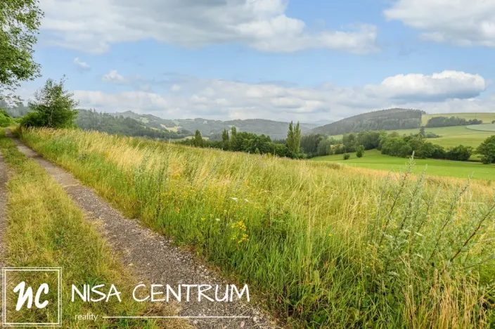 Prodej louky, Víchová nad Jizerou, 991 m2