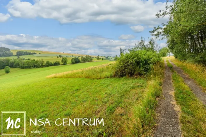 Prodej louky, Víchová nad Jizerou, 991 m2