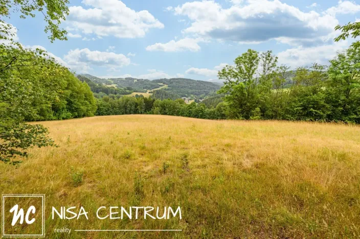 Prodej louky, Víchová nad Jizerou, 23358 m2