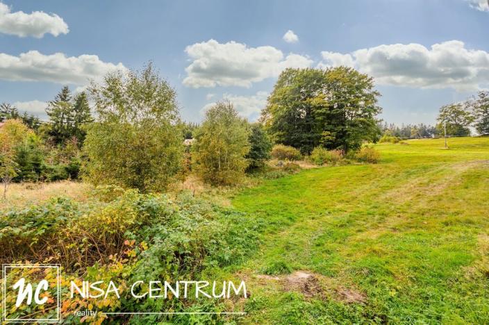Prodej louky, Bedřichov, 3741 m2