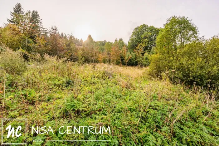 Prodej louky, Bedřichov, 3741 m2