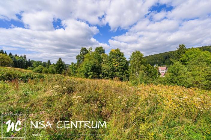 Prodej louky, Bedřichov, 5250 m2