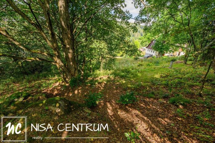 Prodej louky, Bedřichov, 5250 m2