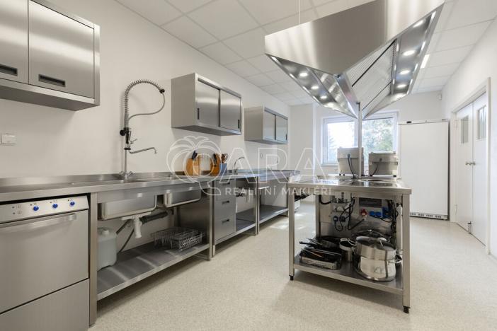 Prodej ubytování, Starý Jičín - Vlčnov, 784 m2