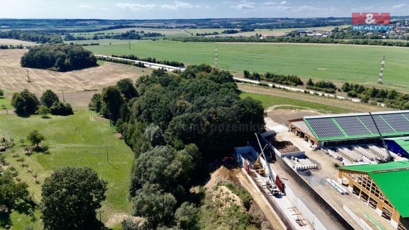 Prodej lesa, Olbramice, 10089 m2