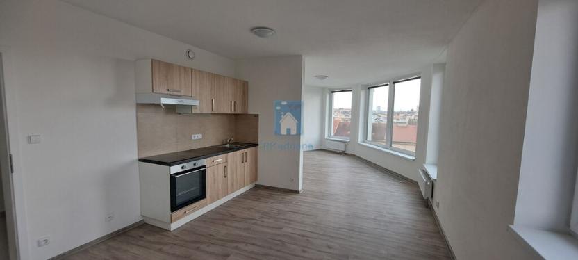 Pronájem bytu 1+kk, Plzeň, Železniční, 43 m2