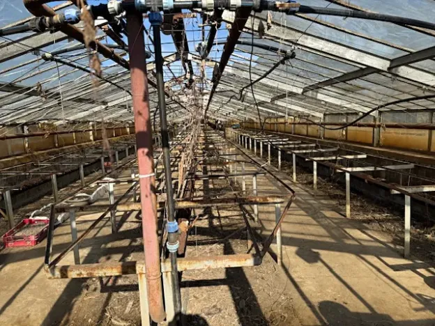 Prodej výrobních prostor, Přerov, Tovačovská, 8008 m2