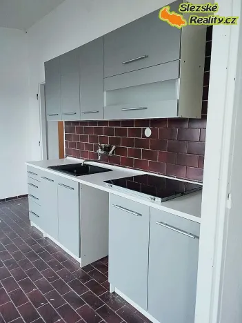 Pronájem bytu 1+1, Ostrava, 50 m2