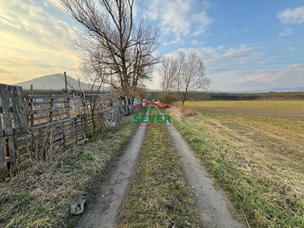 Prodej pole, Mlékojedy, 11088 m2