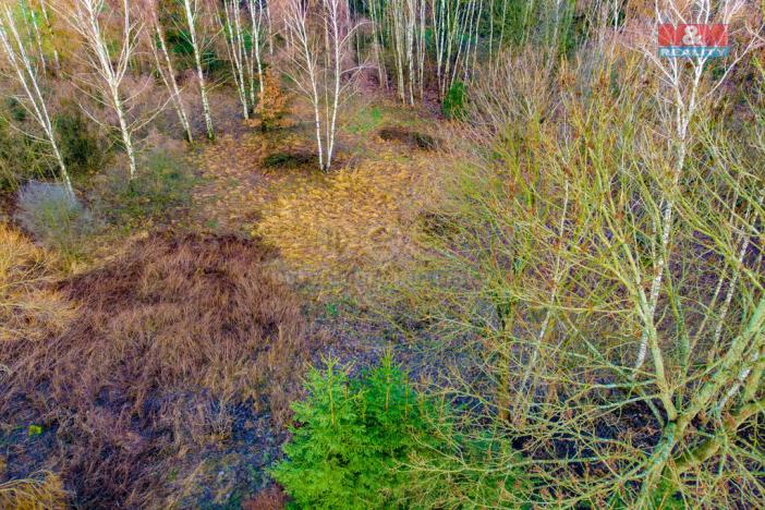 Prodej louky, Arnoltice, 6306 m2