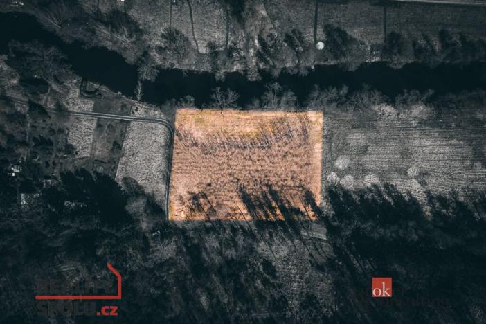 Prodej lesa, Plešnice, 4109 m2