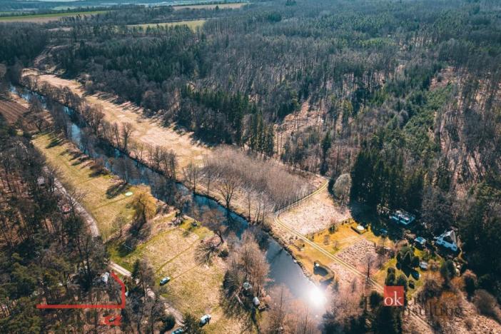 Prodej lesa, Plešnice, 4109 m2
