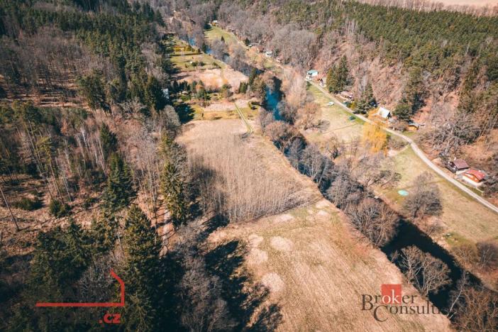 Prodej lesa, Plešnice, 4109 m2