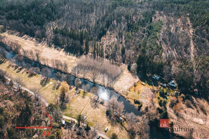 Prodej lesa, Plešnice, 4109 m2