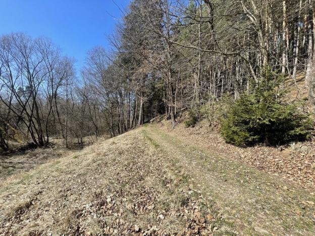 Prodej zahrady, Dlouhá Ves, 782 m2