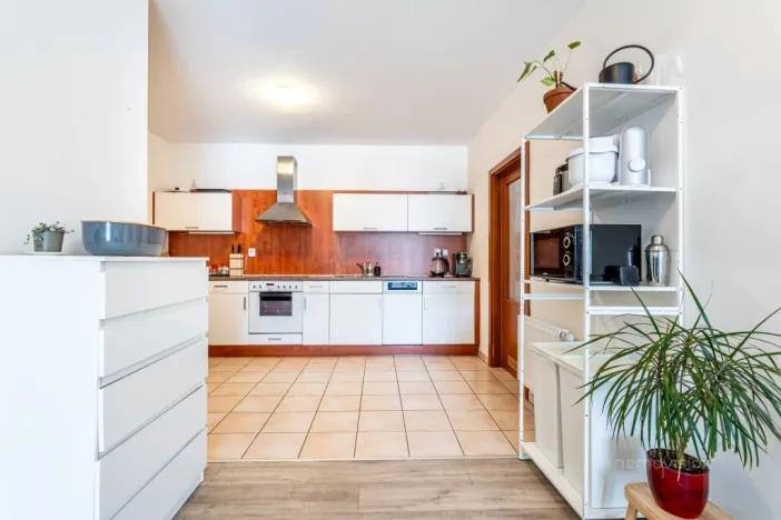 Pronájem bytu 2+kk, Brno - Lesná, Haškova, 79 m2