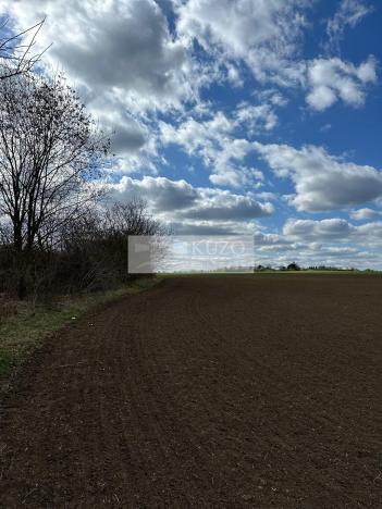 Prodej pozemku pro bydlení, Velké Přílepy, 4077 m2