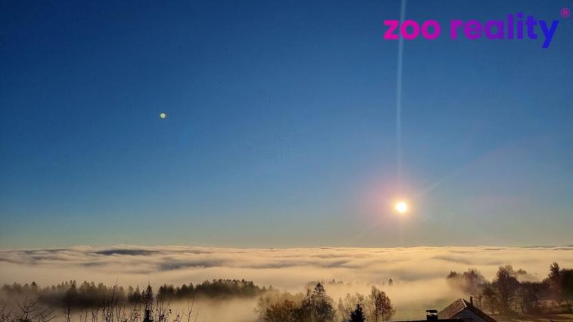 Prodej pozemku pro bydlení, Vacov - Lhota nad Rohanovem, 1572 m2