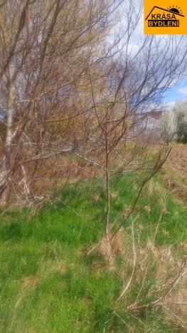 Pronájem zahrady, Olomouc - Povel, 407 m2