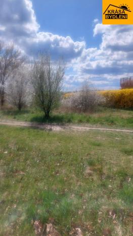 Pronájem zahrady, Olomouc - Povel, 407 m2