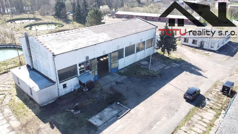 Pronájem komerční nemovitosti, Černožice, K čáslavkám, 2720 m2