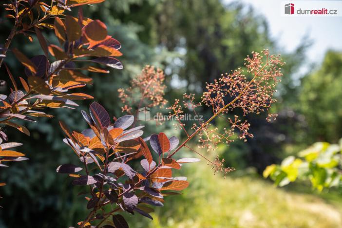 Prodej rodinného domu, Loucká, 220 m2