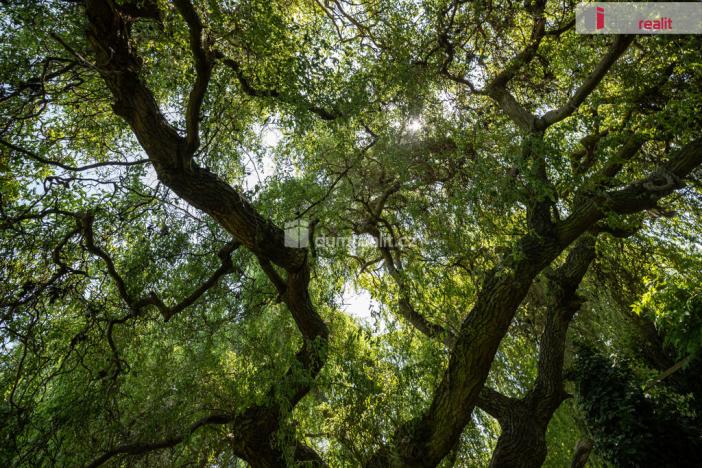 Prodej rodinného domu, Loucká, 220 m2