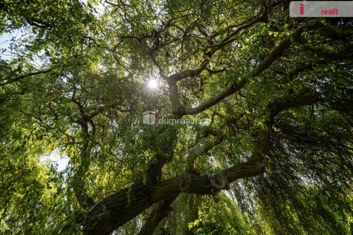 Prodej rodinného domu, Loucká, 220 m2