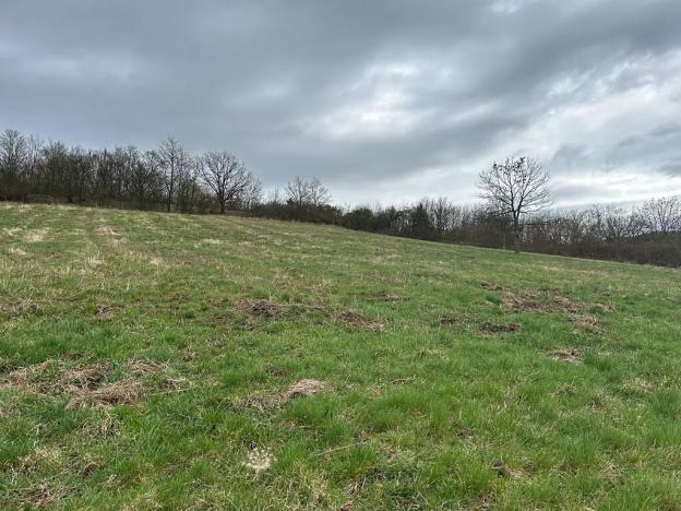 Prodej pozemku pro bydlení, Bžany, 3000 m2