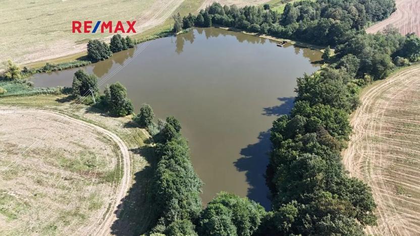 Prodej rybníku, Moravská Třebová, 94551 m2