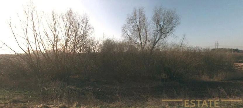 Prodej lesa, Stařechovice, 4595 m2