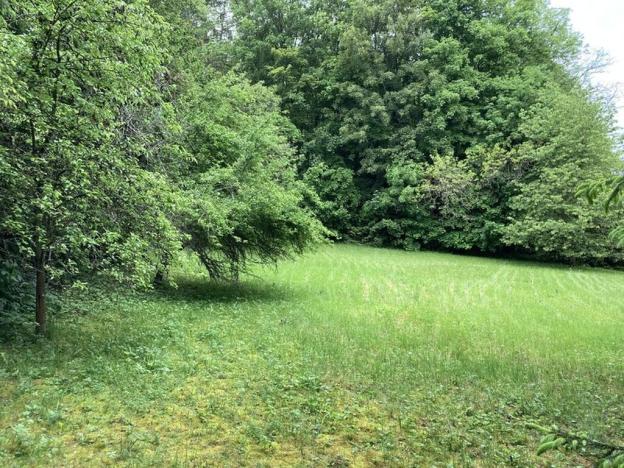 Prodej pozemku pro bydlení, Sušice, Pod Kalichem, 1284 m2