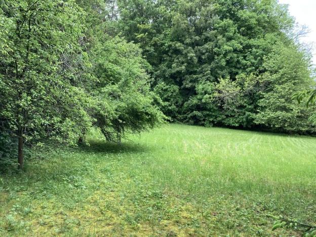 Prodej pozemku pro bydlení, Sušice, Pod Kalichem, 1284 m2