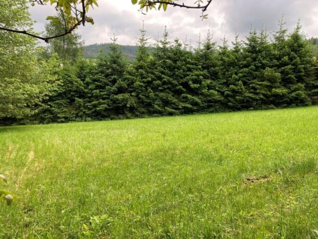 Prodej pozemku pro bydlení, Sušice, Pod Kalichem, 1284 m2