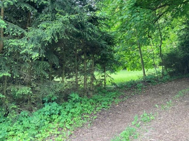 Prodej pozemku pro bydlení, Sušice, Pod Kalichem, 1284 m2