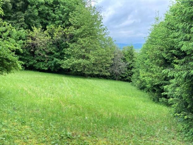 Prodej pozemku pro bydlení, Sušice, Pod Kalichem, 1284 m2